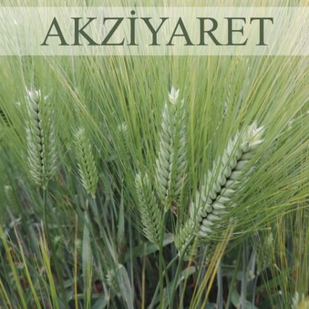 olgunlar-AKZYARET
